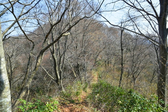 f:id:threepeaks:20210404225558j:plain