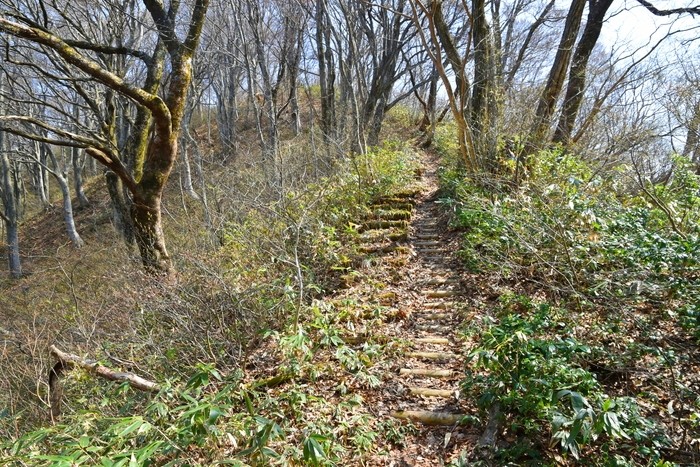 f:id:threepeaks:20210404225624j:plain