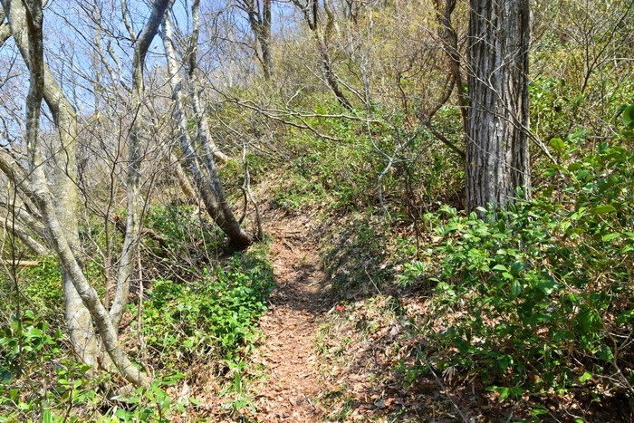 f:id:threepeaks:20210404230035j:plain