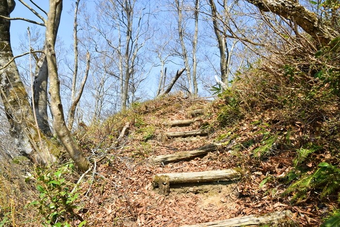 f:id:threepeaks:20210404230558j:plain