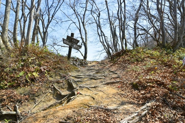 f:id:threepeaks:20210404230617j:plain