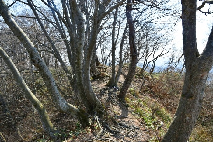 f:id:threepeaks:20210404230742j:plain