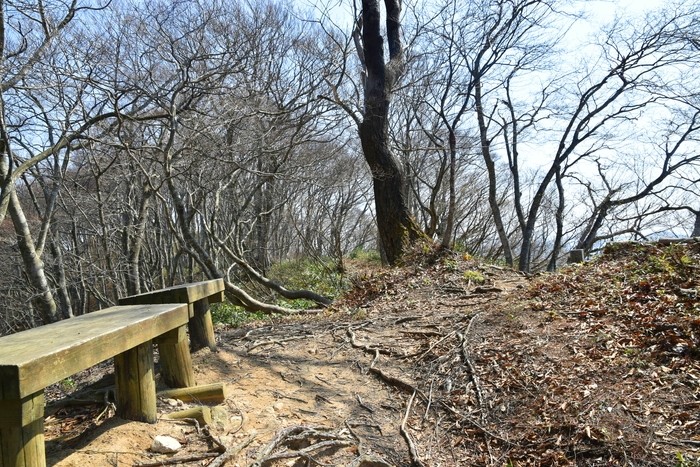 f:id:threepeaks:20210404230821j:plain