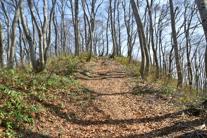 f:id:threepeaks:20210404231024j:plain