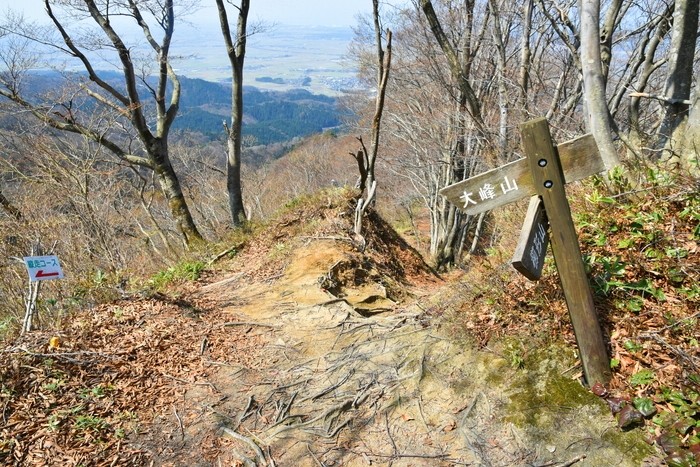 f:id:threepeaks:20210404232628j:plain