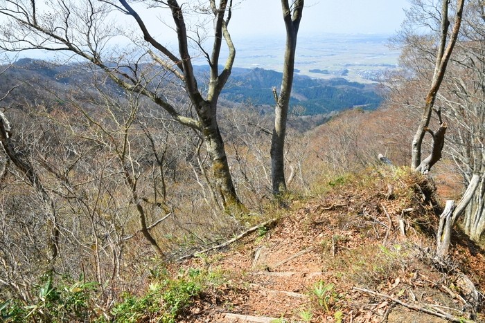 f:id:threepeaks:20210404232732j:plain