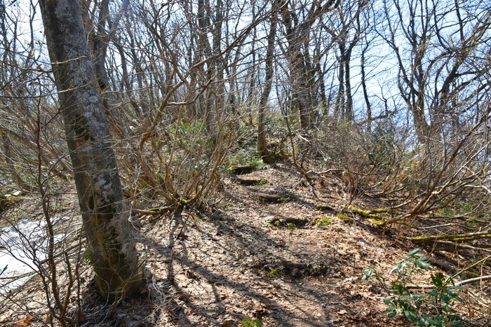 f:id:threepeaks:20210404232745j:plain