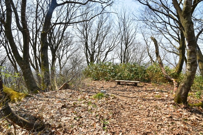 f:id:threepeaks:20210404232915j:plain