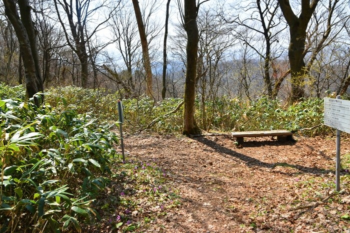 f:id:threepeaks:20210404232934j:plain