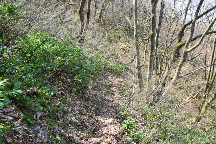 f:id:threepeaks:20210404233138j:plain