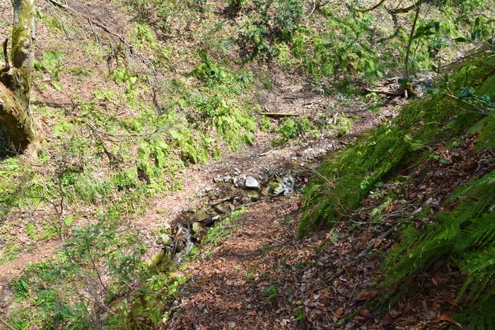 f:id:threepeaks:20210404233206j:plain