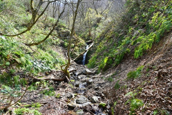 f:id:threepeaks:20210404233244j:plain