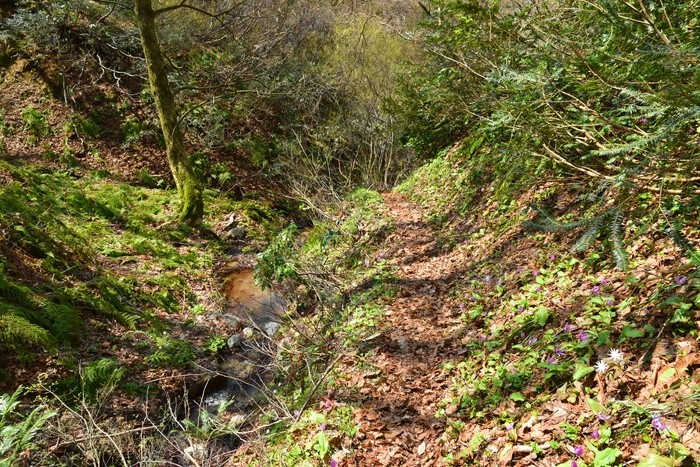 f:id:threepeaks:20210404233444j:plain