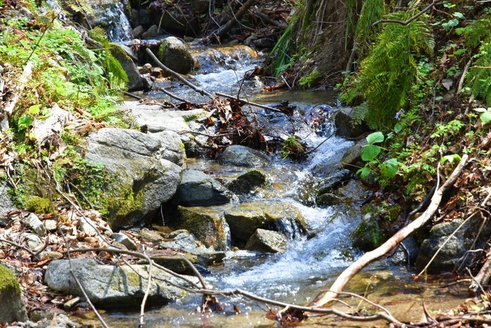 f:id:threepeaks:20210404233925j:plain