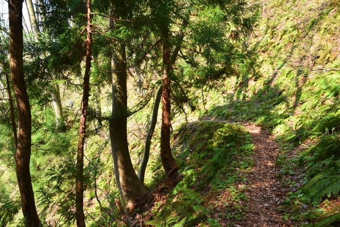 f:id:threepeaks:20210404234255j:plain