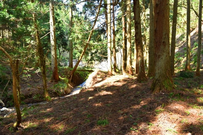 f:id:threepeaks:20210404234510j:plain