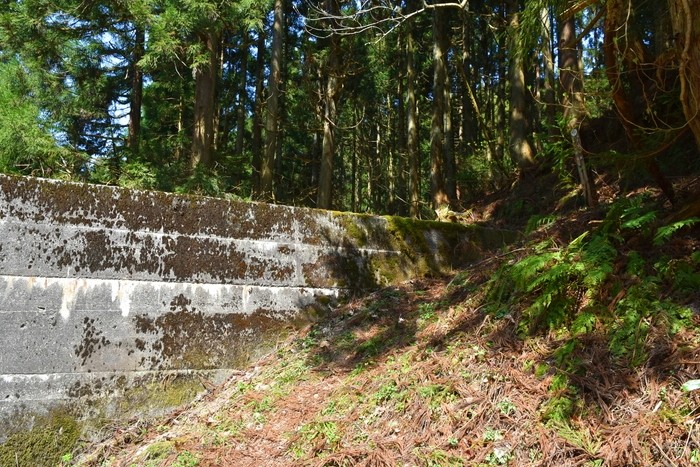 f:id:threepeaks:20210404234555j:plain