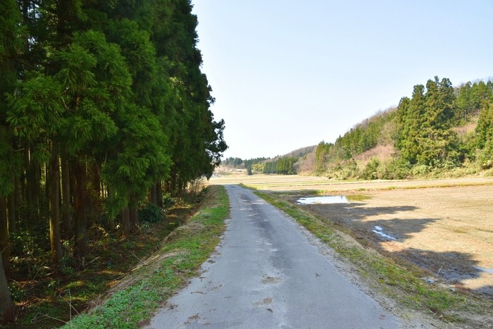 f:id:threepeaks:20210404235354j:plain