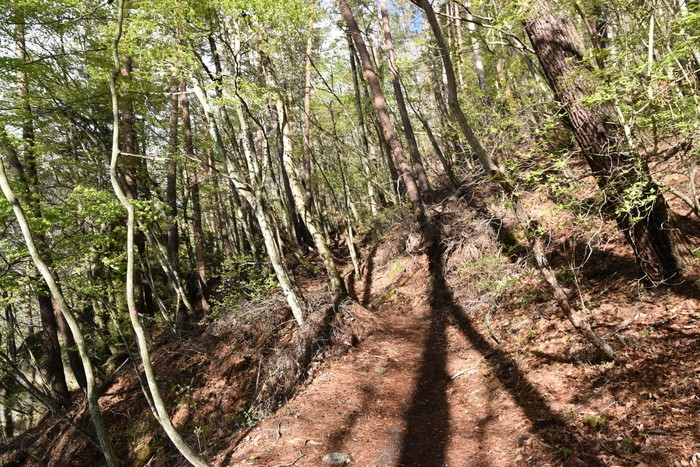 f:id:threepeaks:20210510205919j:plain