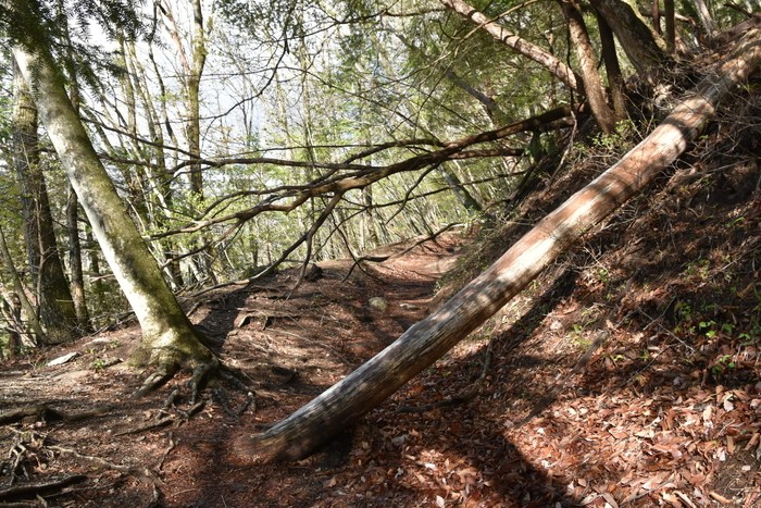 f:id:threepeaks:20210510210300j:plain