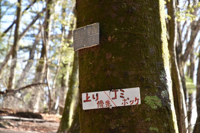 f:id:threepeaks:20210510210713j:plain