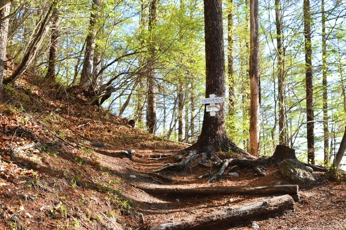 f:id:threepeaks:20210512205239j:plain