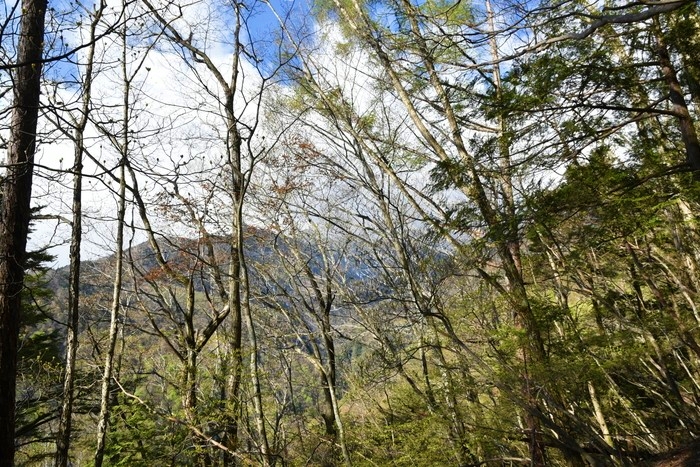 f:id:threepeaks:20210512205521j:plain