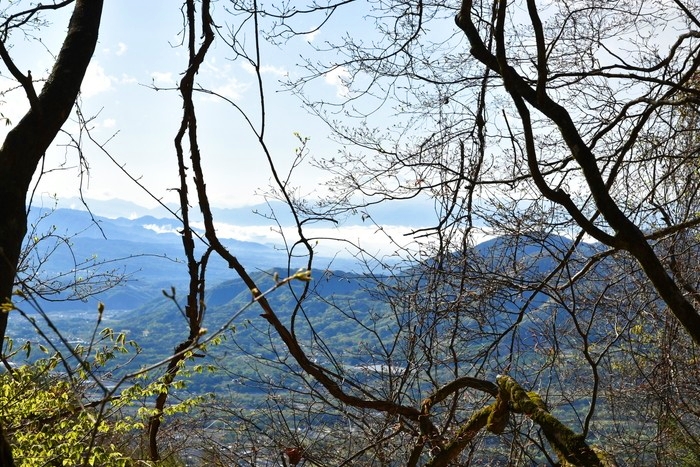 f:id:threepeaks:20210512205914j:plain