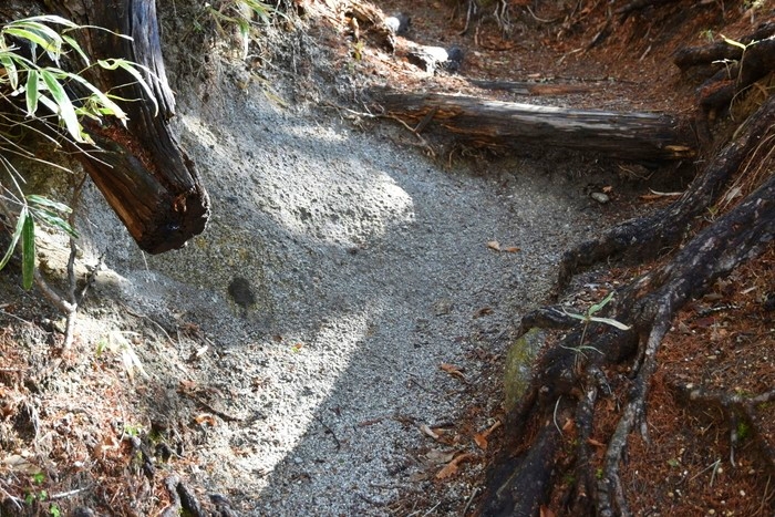 f:id:threepeaks:20210512205948j:plain