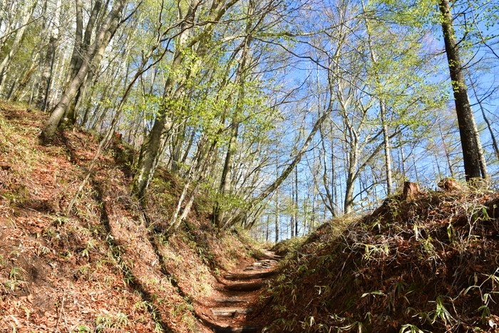 f:id:threepeaks:20210512210116j:plain