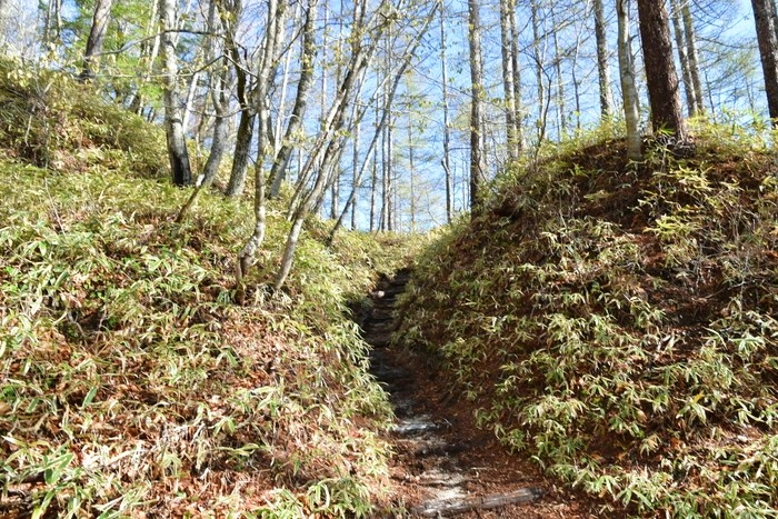 f:id:threepeaks:20210512211223j:plain