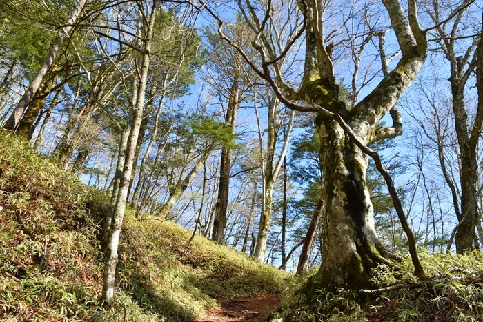 f:id:threepeaks:20210512211323j:plain