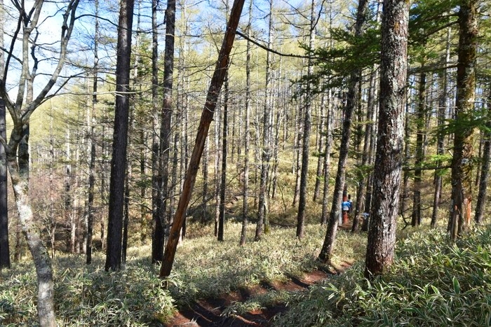 f:id:threepeaks:20210512211658j:plain