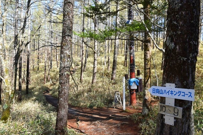 f:id:threepeaks:20210512211727j:plain