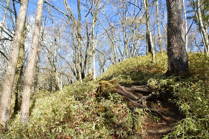 f:id:threepeaks:20210512211938j:plain