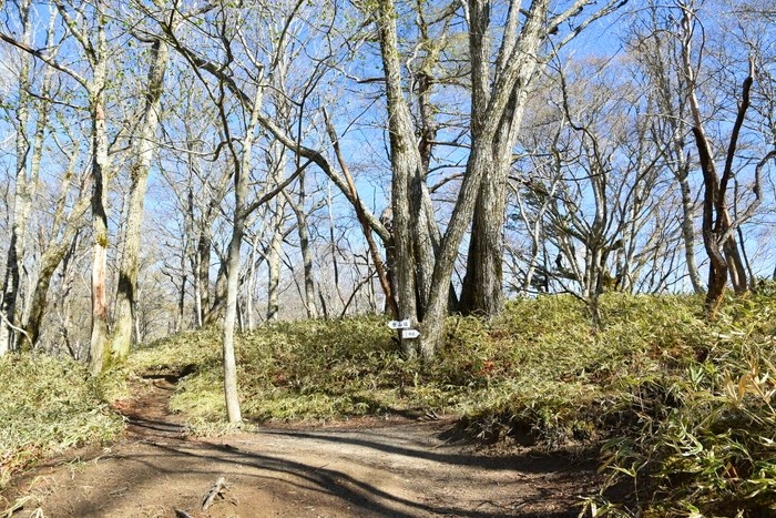 f:id:threepeaks:20210512212159j:plain