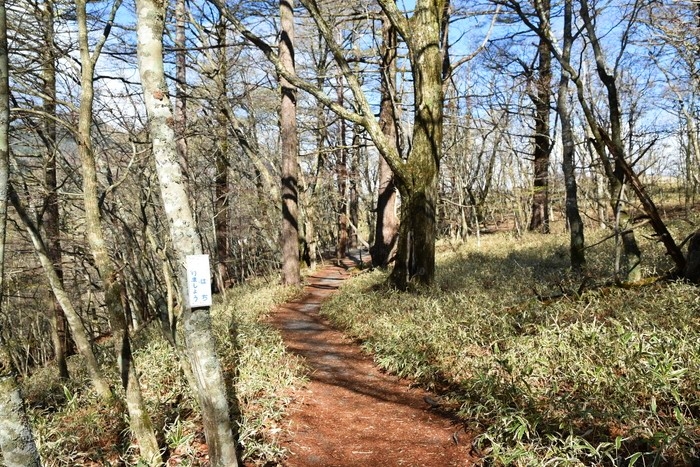 f:id:threepeaks:20210512212453j:plain