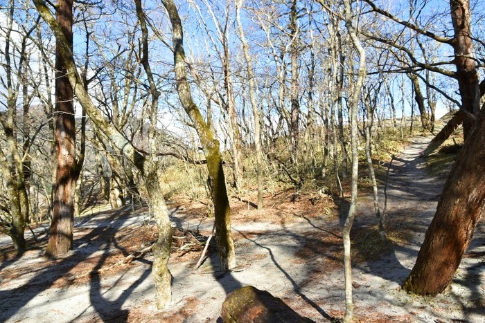 f:id:threepeaks:20210512212519j:plain