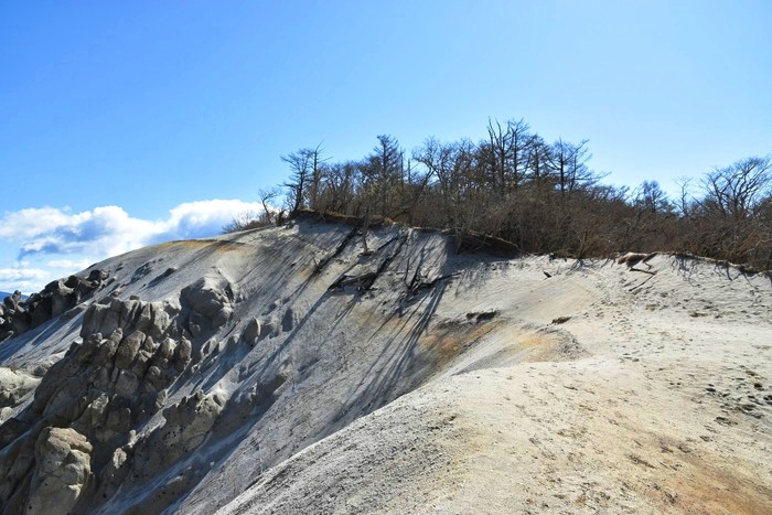 f:id:threepeaks:20210513220134j:plain