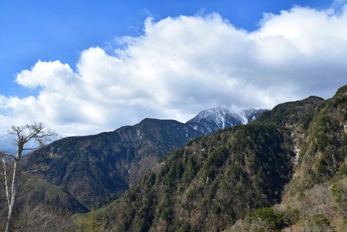 f:id:threepeaks:20210513220749j:plain