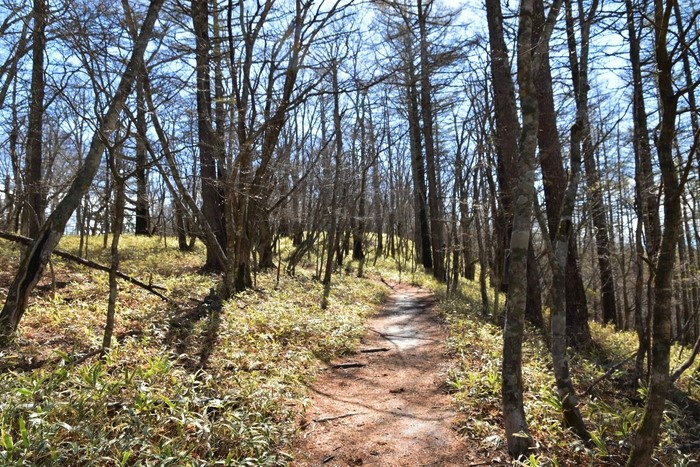 f:id:threepeaks:20210513221056j:plain