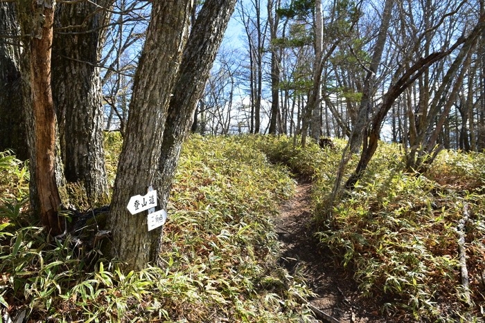 f:id:threepeaks:20210513221133j:plain