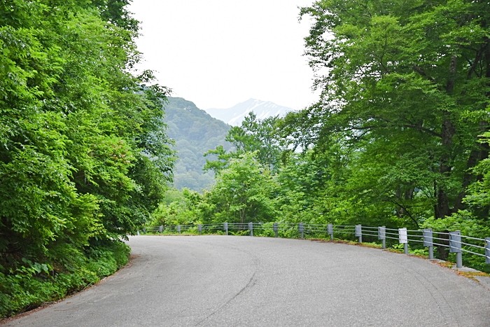 f:id:threepeaks:20210615214820j:plain