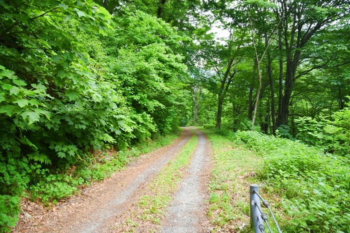 f:id:threepeaks:20210615215522j:plain