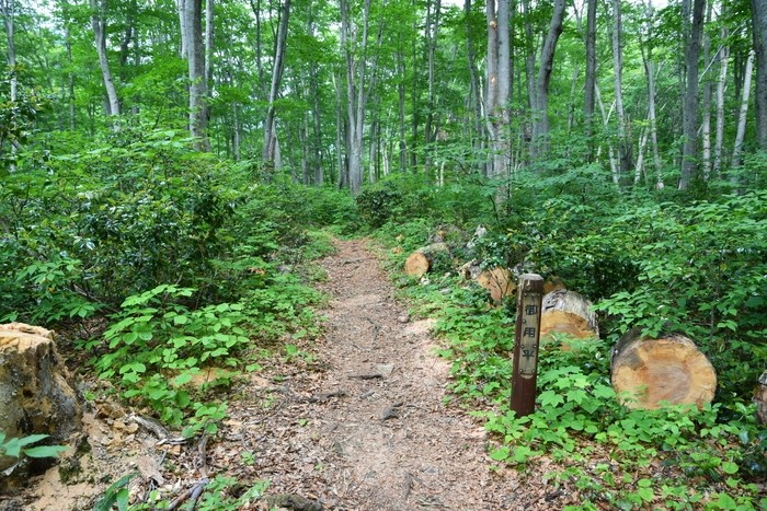 f:id:threepeaks:20210615221533j:plain