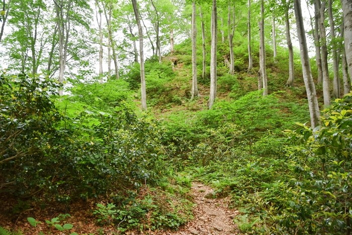 f:id:threepeaks:20210615221626j:plain