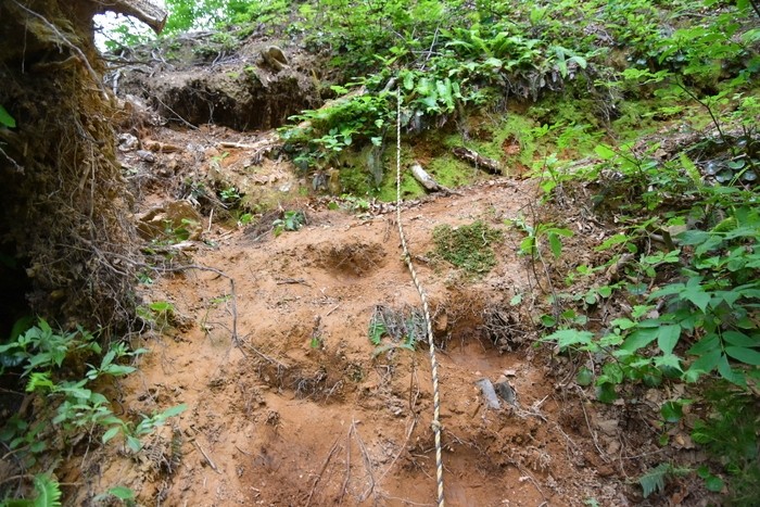 f:id:threepeaks:20210615221719j:plain