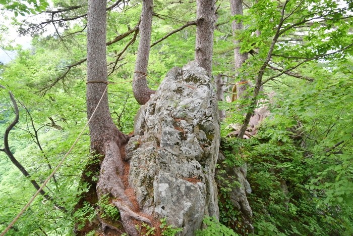 f:id:threepeaks:20210615222100j:plain