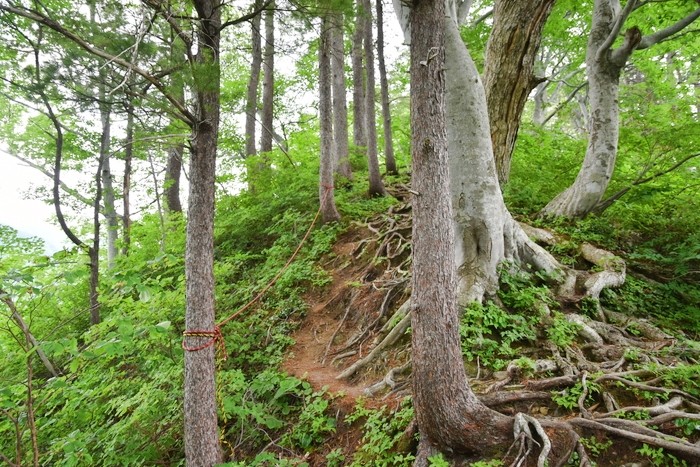 f:id:threepeaks:20210615222223j:plain