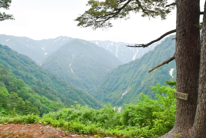 f:id:threepeaks:20210615222344j:plain